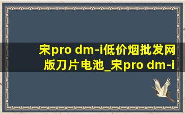 宋pro dm-i(低价烟批发网)版刀片电池_宋pro dm-i(低价烟批发网)版是刀片电池吗